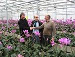 Orchideen Beeren in Nettetal